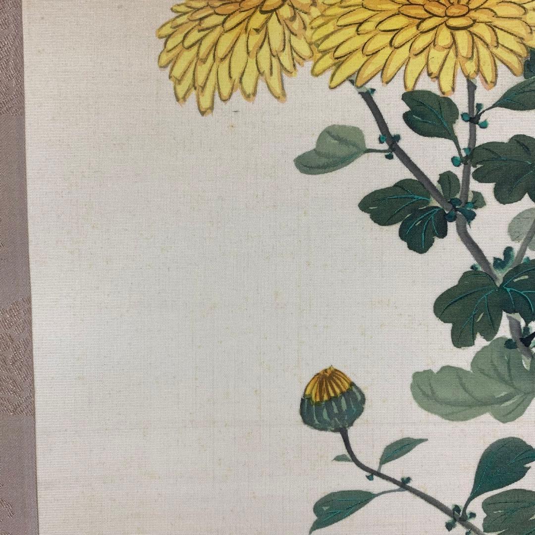 掛軸 菊華 忍景翠 共箱 花 黄色