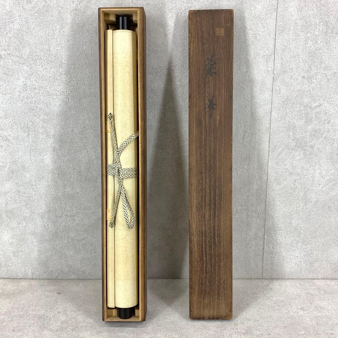 掛軸 菊華 忍景翠 共箱 花 黄色
