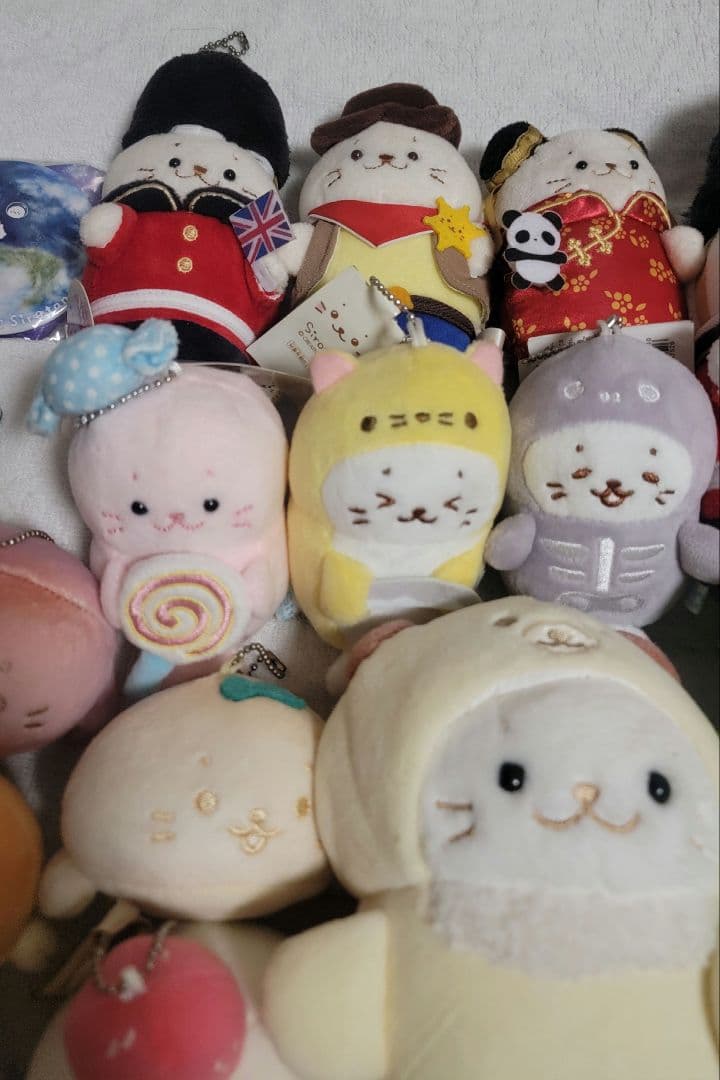 しろたん ぬいぐるみ・マスコット セット