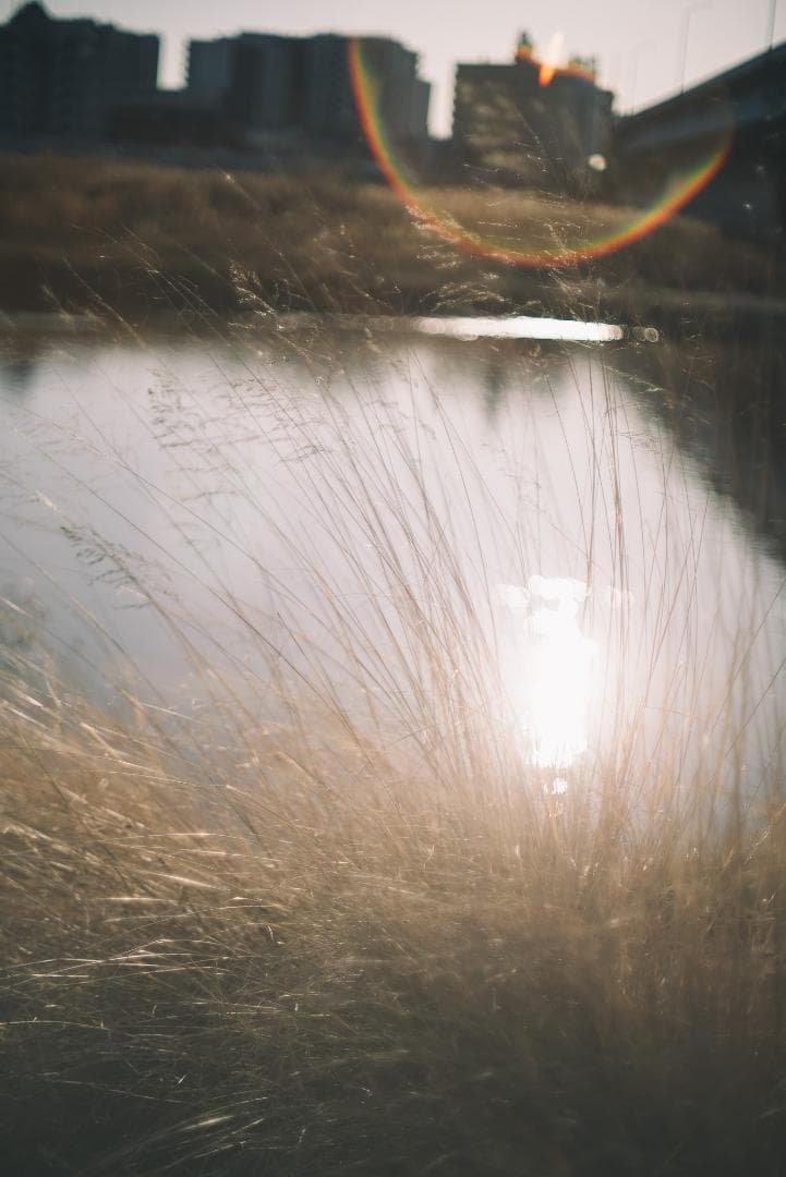 8枚玉！PENTAX Super-Takumar 50mm f1.4 前期
