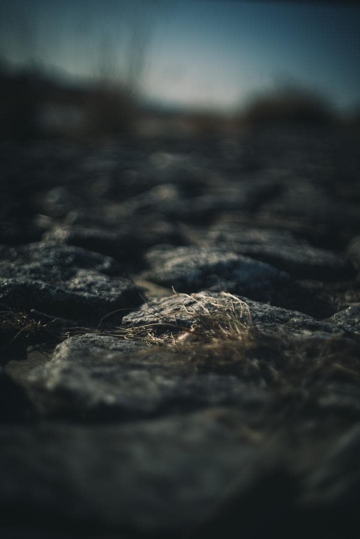 8枚玉！PENTAX Super-Takumar 50mm f1.4 前期