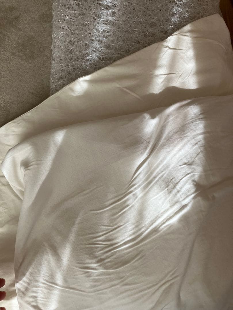 BRAIN SLEEP PILLOWメッシュ枕 枕カバー2枚付き