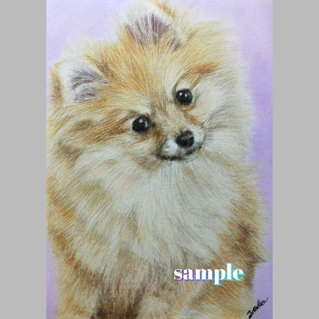 色鉛筆画✭愛猫愛犬✭ペット似顔絵　肖像画　イラスト　注文オーダー　受付ページ 2
