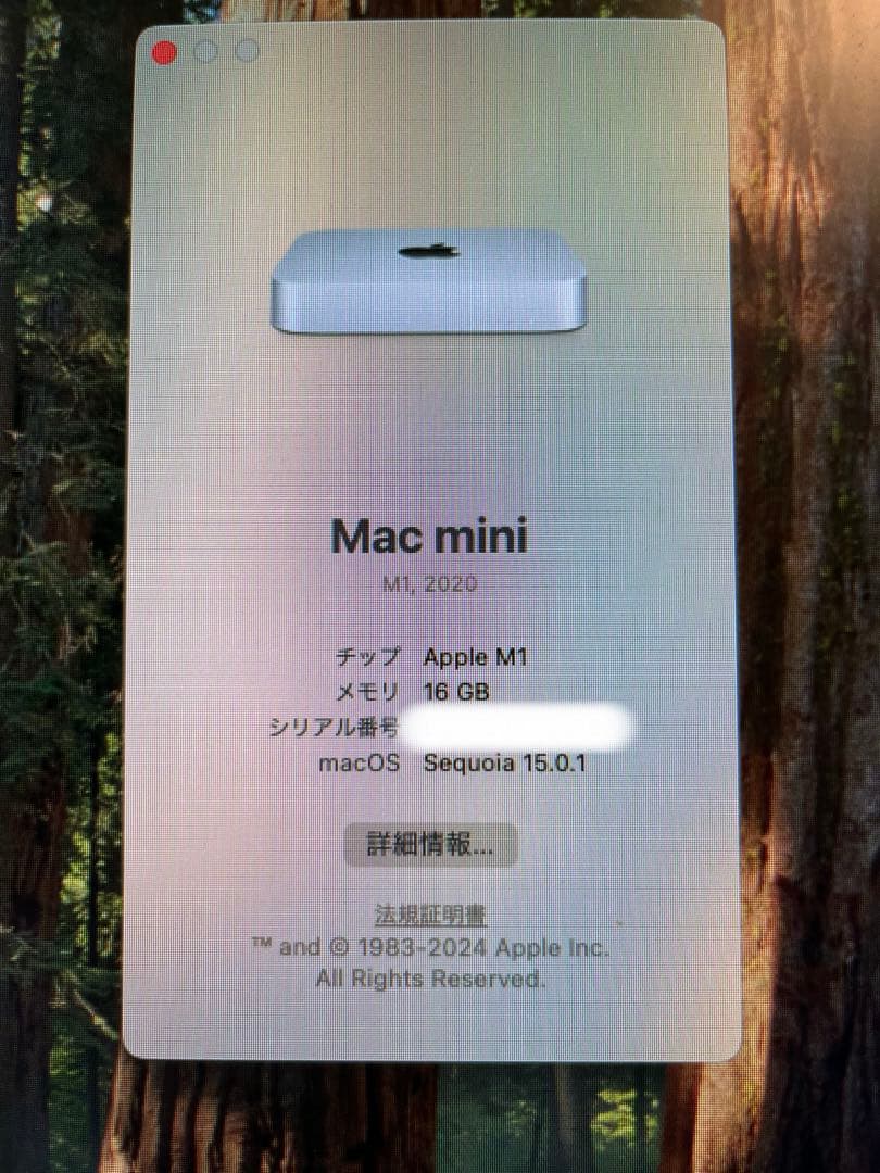 Apple Mac mini M1 16GB メモリ 512GB SSD