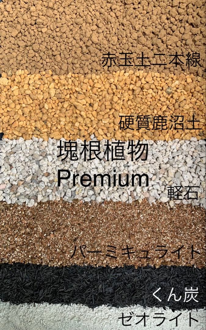 塊根植物の土Premium小粒10㍑培養土パキポディウム・アデニウム等グラキリス