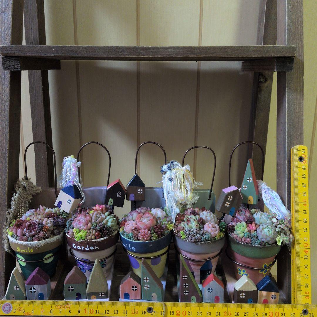 多肉植物寄せ植え　そのまま飾れる寄せ植え♡1個:1380円