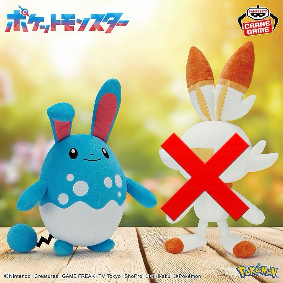 【新品タグ付】ポケットモンスター ぬいぐるみ 15体セット③【まとめ売り】