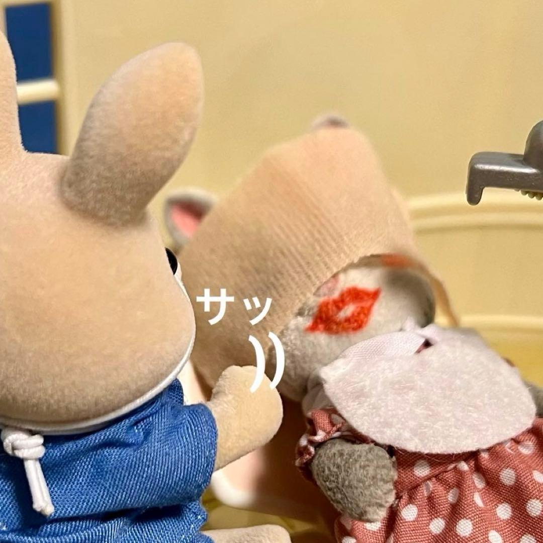 確認用　シルバニア劇場　赤ずきん　ミニチュア　焼菓子詰め合わせ