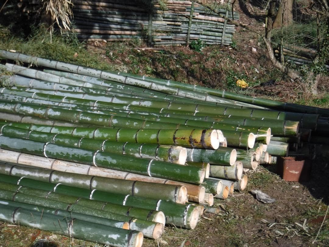 竹パウダー６：発酵熟成竹・土壌改良剤・家庭菜園・農業：100ℓ