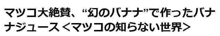 ひたすら甘い、100㎝大苗、100本鈴なり大収穫◆超ドワーフ台湾.バナナ苗＝鉢可