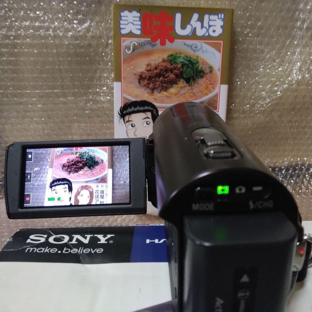SONY HDR-CX370Vフルハイビジョン・ビデオカメラ 64GB