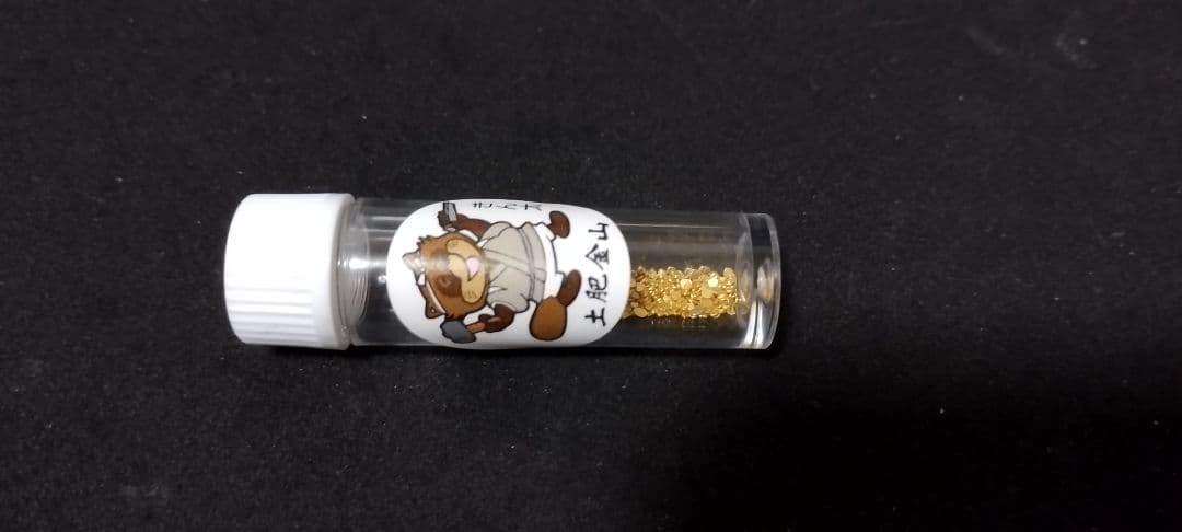 土肥金山 砂金採り体験 350粒
