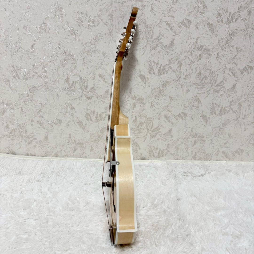 【希少美品】MYLOWE フラットマンドリン ハードケース付