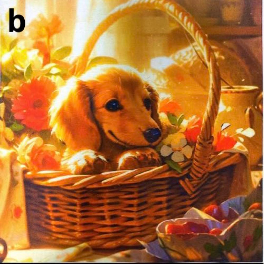オーダー ページ パネル 籠ミニチュアダックス② 10/9