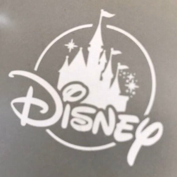 新品☆Disney ラプンツェル ウエットティッシュケース フィギュア