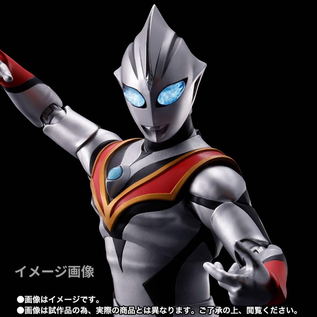 S.H.Figuarts（真骨彫製法）イーヴィルティガ