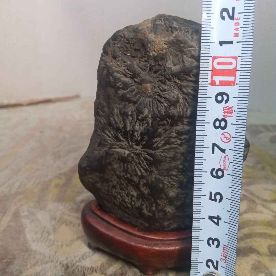 天然鉱物水石菊花石模様