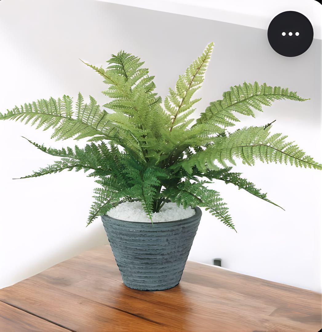 光触媒　人工観葉植物　ウォールグリーン　フェイクグリーン　レザーファン32