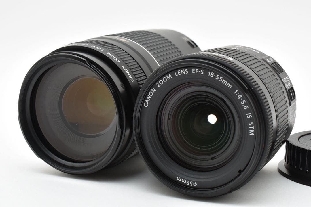 Canon EOS 9000Dデジタル一眼レフカメラ標準&望遠ダブルレンズセット