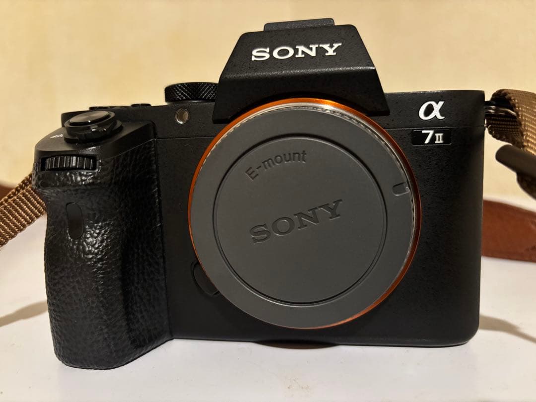 Sony α7II ミラーレスカメラ バッテリー4個付き