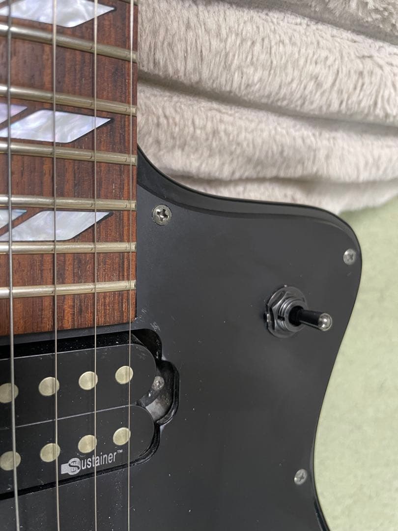 希少！Burny H-85 サスティーナ搭載シャチ HIDE HOTEI