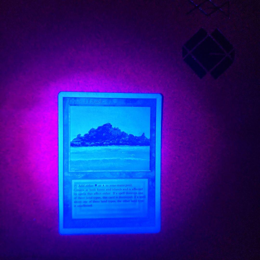 mtg　Tropical 