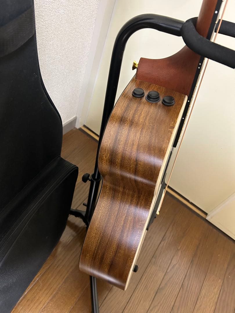James アコースティックギター 購入後1ヶ月使用　保証付