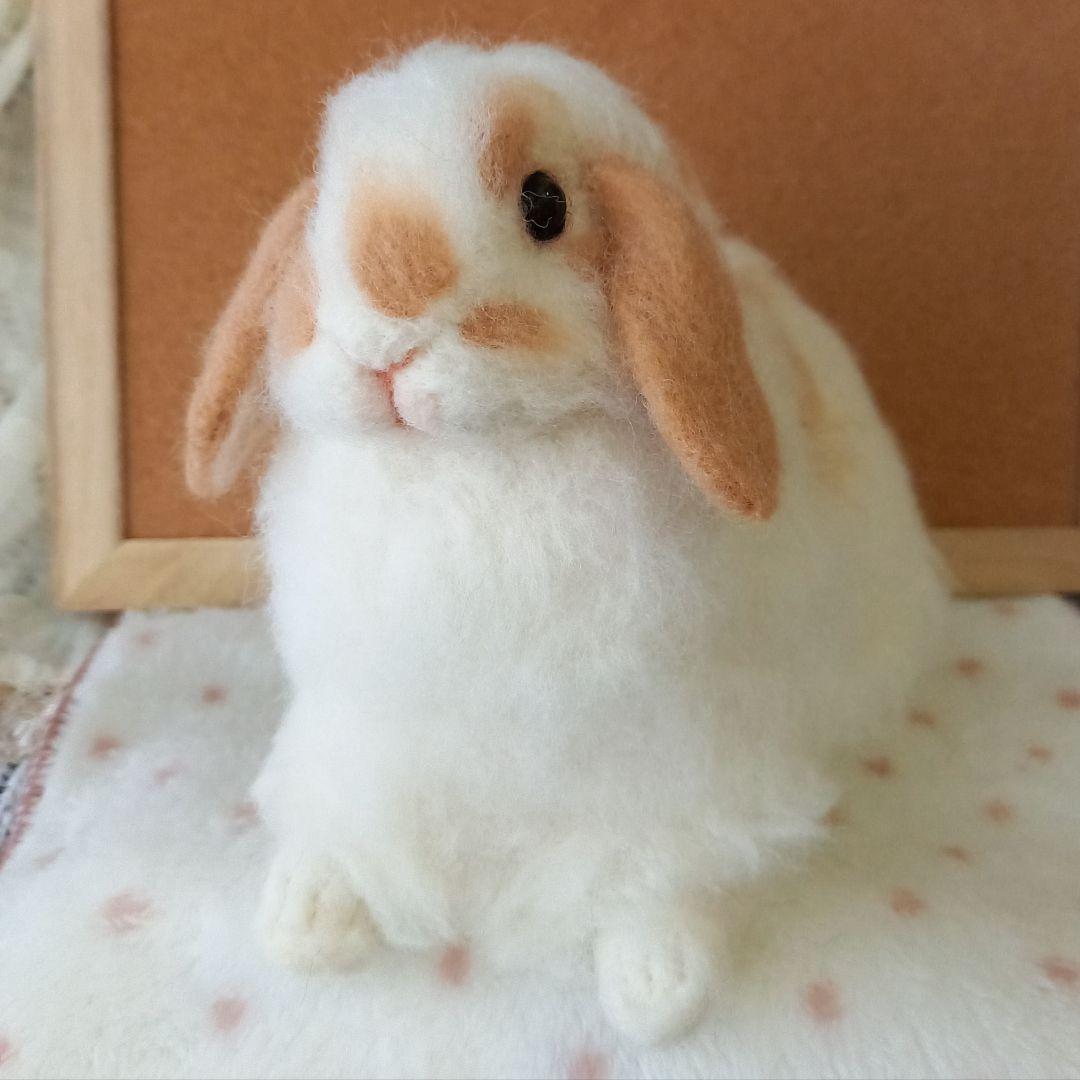 ロップイヤー ブロークンオレンジ 全身 羊毛フェルト ハンドメイド インテリア
