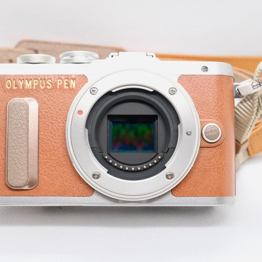 【新品級】OLYMPUS PEN E-PL8 レンズ付　本革ボディージャケット