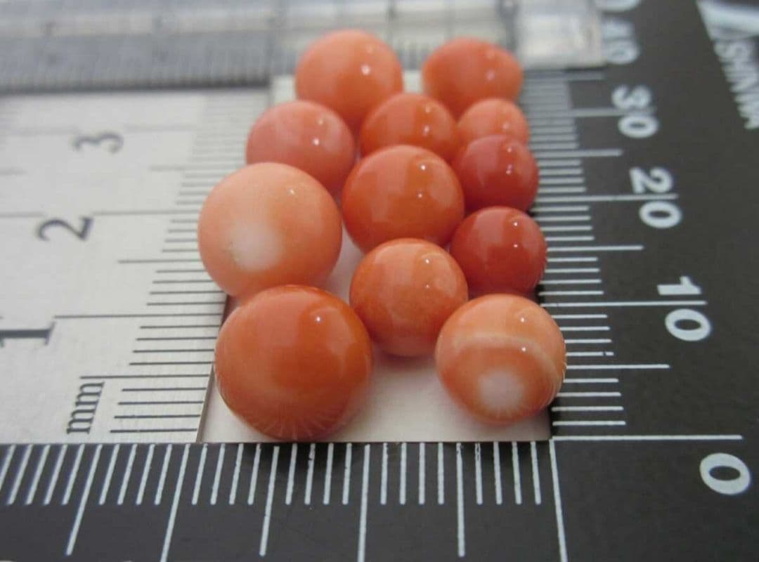 桃珊瑚 サンゴ 7g 片穴ルース セット 本珊瑚 s7a