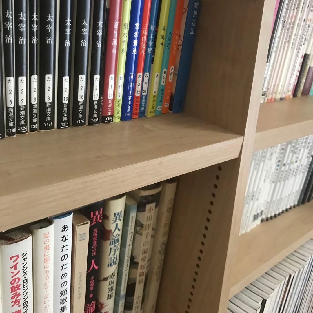 dinos ディノス 脚元安定1cmピッチ棚板頑丈薄型書棚 ブックシェルフ 本棚