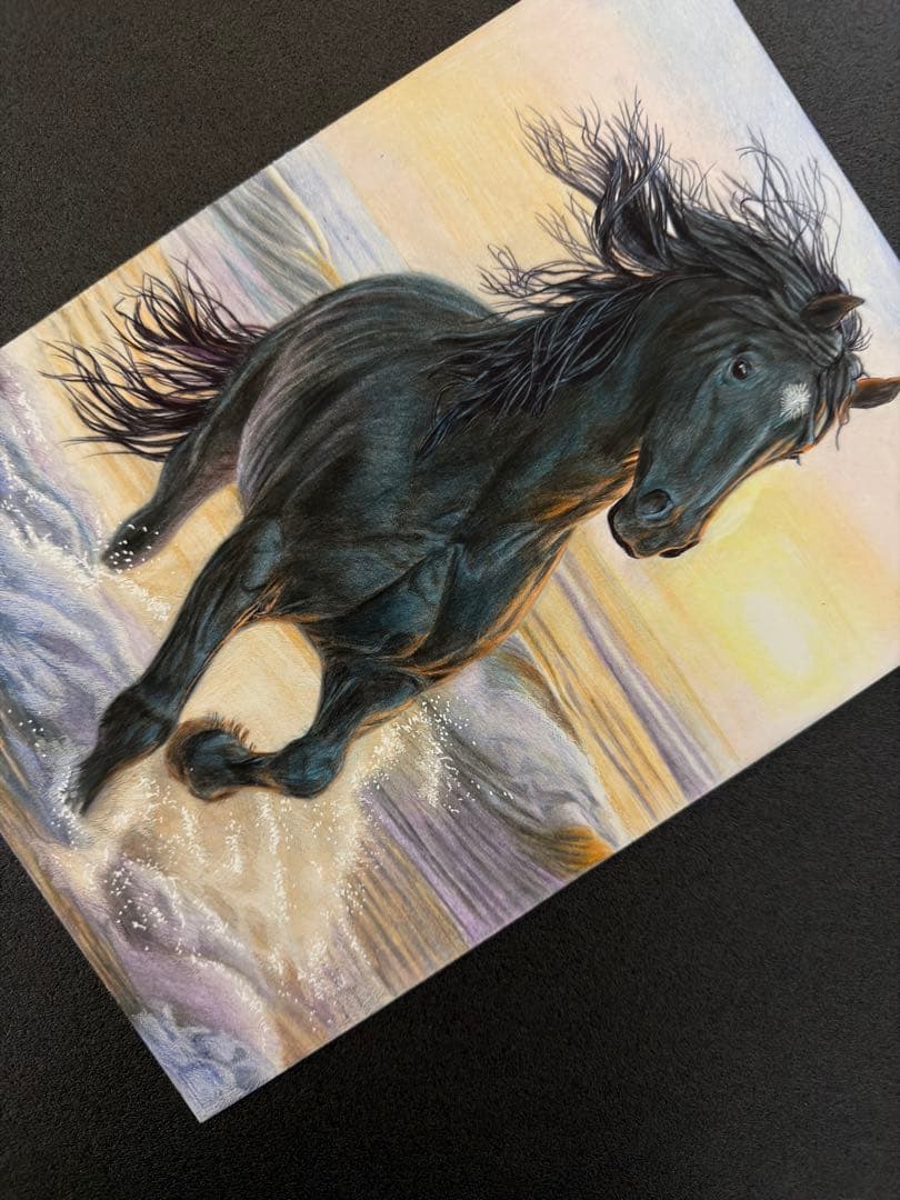 色鉛筆画 A4 波を越える黒馬