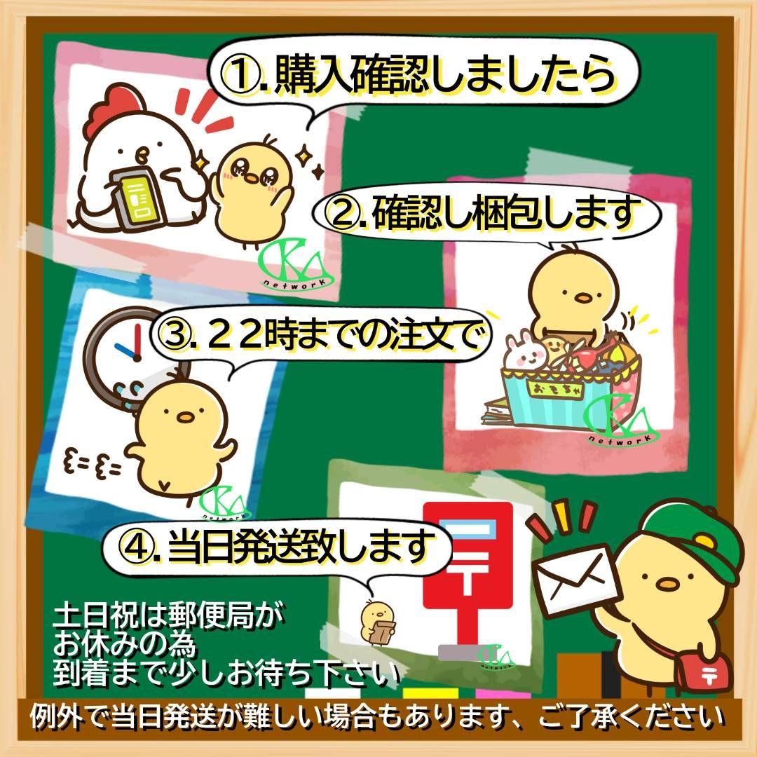30×40cm 樹脂ノーマルビーズ 3種 かわいいコーギー オリジナルカード付