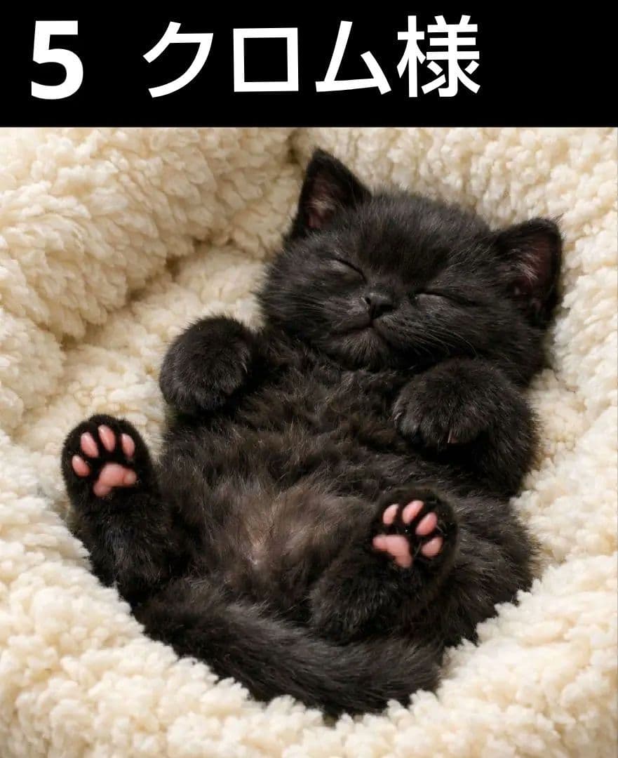 オーダーページ　ハンカチ353 居眠りネコちゃん柄ハンドメイド3/18