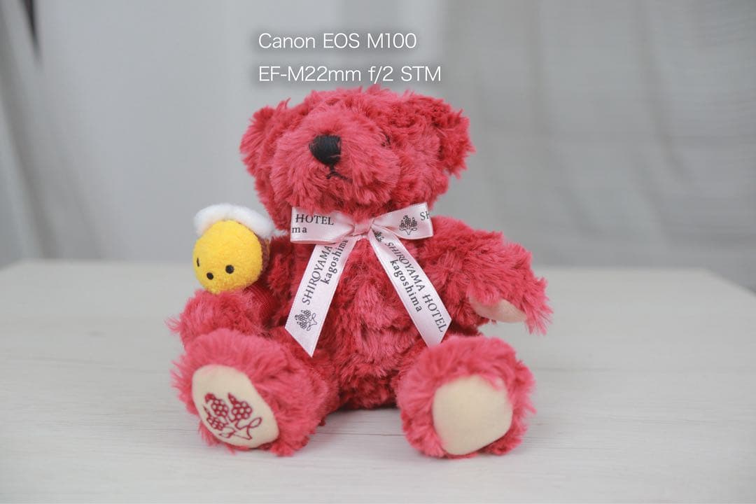 【初心者おすすめ】Canon EOS M100 ダブルレンズキット バッテリー付