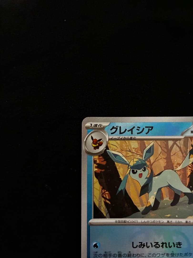 ポケモンカード グレイシア マリィのオーロンゲex メガリザードンXex