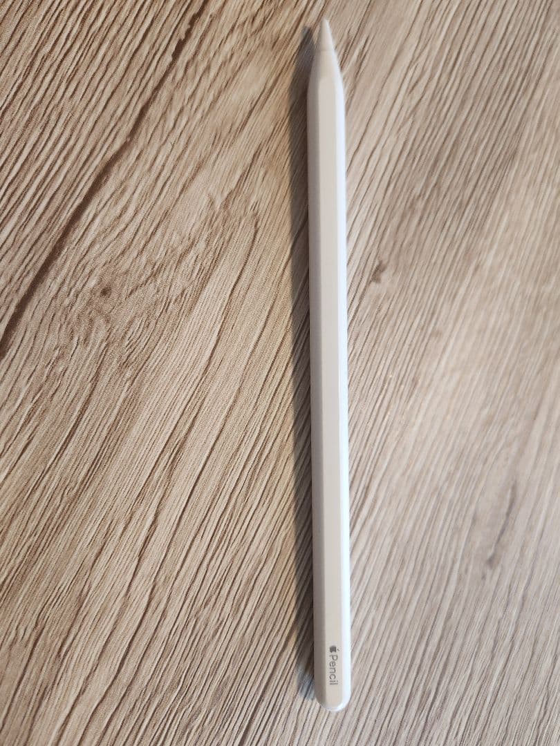 iPad Pro12.9 第5世代 256GB Wi-Fi スペースグレー +α
