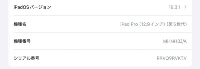 iPad Pro12.9 第5世代 256GB Wi-Fi スペースグレー +α