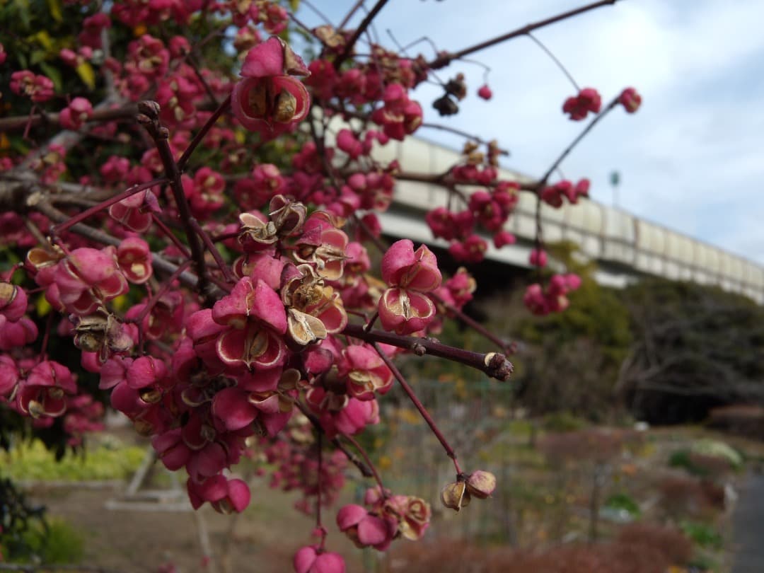 追加有り⭕️【動作確認済み】Nikon COOLPIX S710