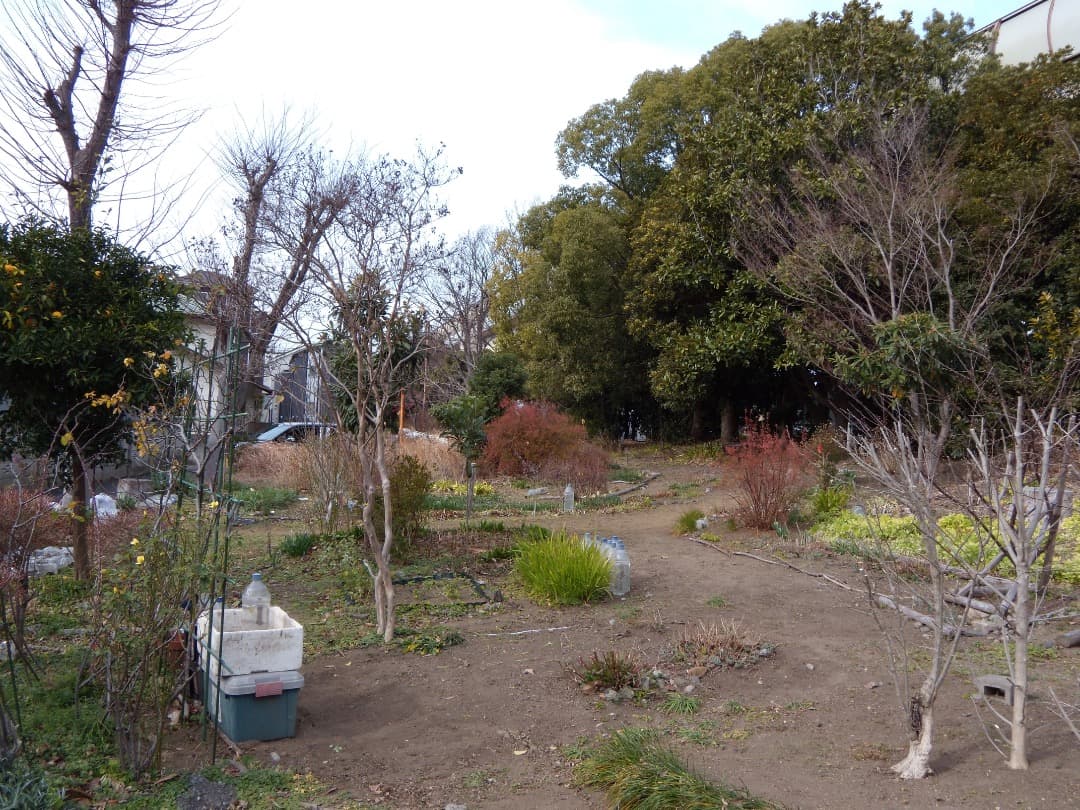 追加有り⭕️【動作確認済み】Nikon COOLPIX S710