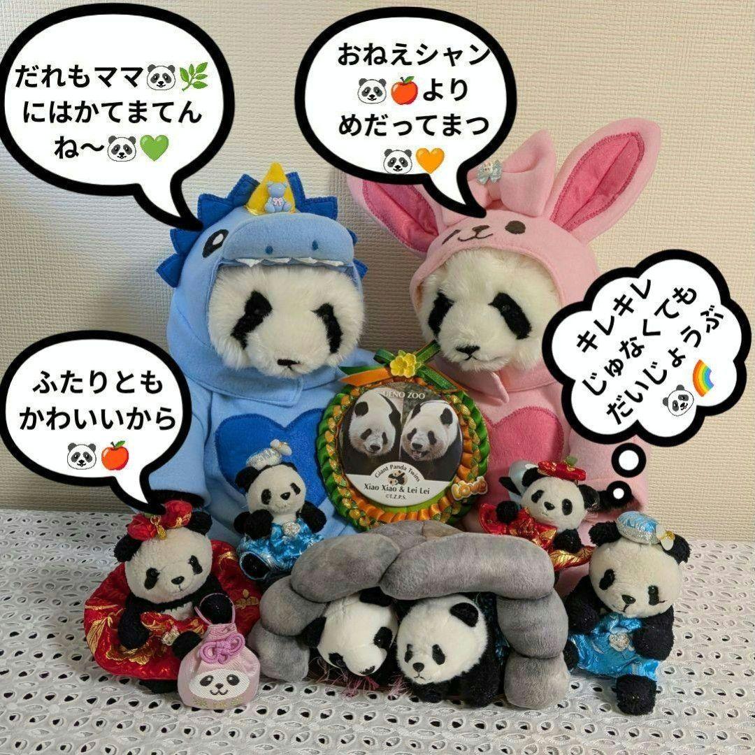 【まゆみっち様オーダー】だっこシャオレイ♡怪獣＆うさぎ変身コスチュームセット