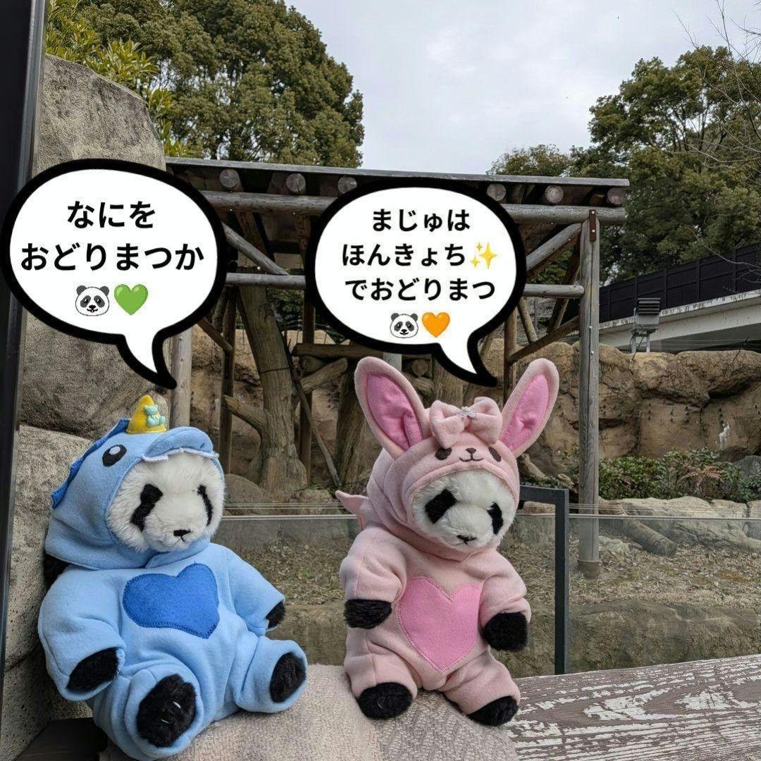 【まゆみっち様オーダー】だっこシャオレイ♡怪獣＆うさぎ変身コスチュームセット