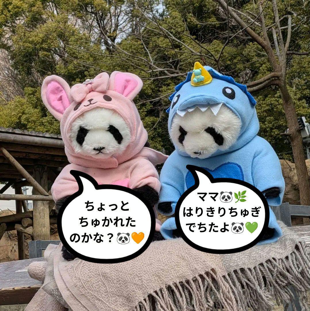 【まゆみっち様オーダー】だっこシャオレイ♡怪獣＆うさぎ変身コスチュームセット