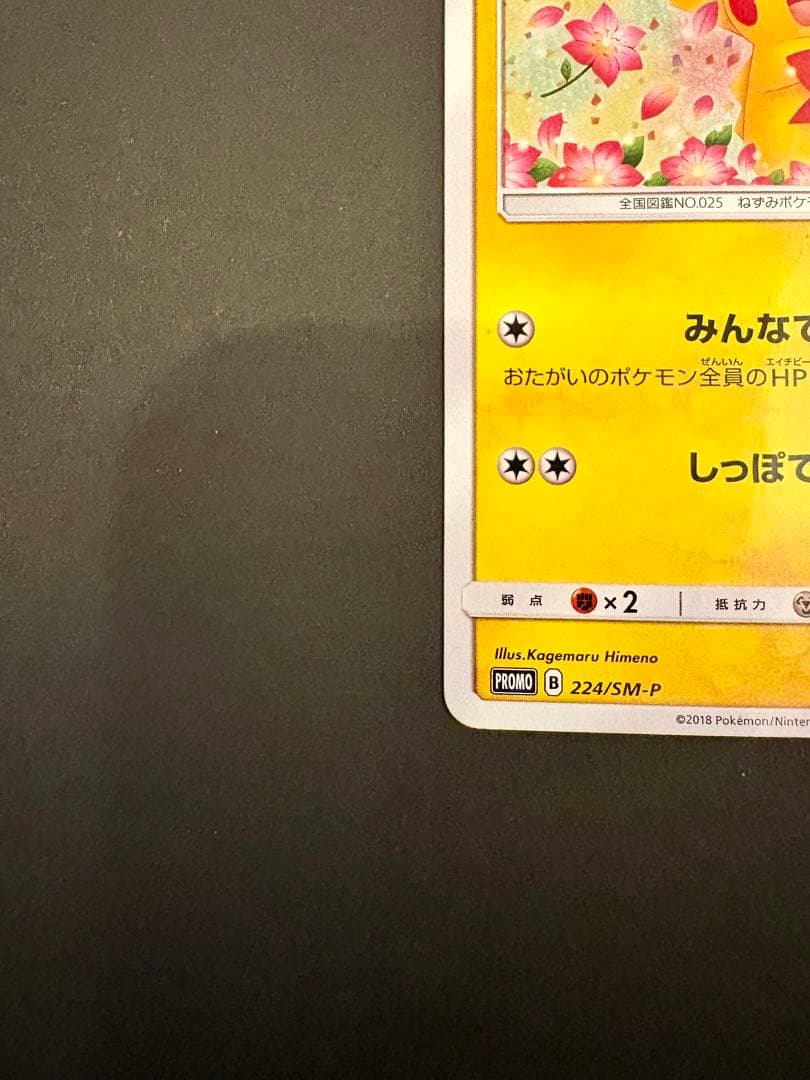 ポケモンカード　ピカチュウ みんなでいわう　プロモ　224/SM-P