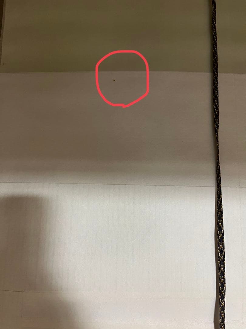 タペストリー　佳人　掛け軸