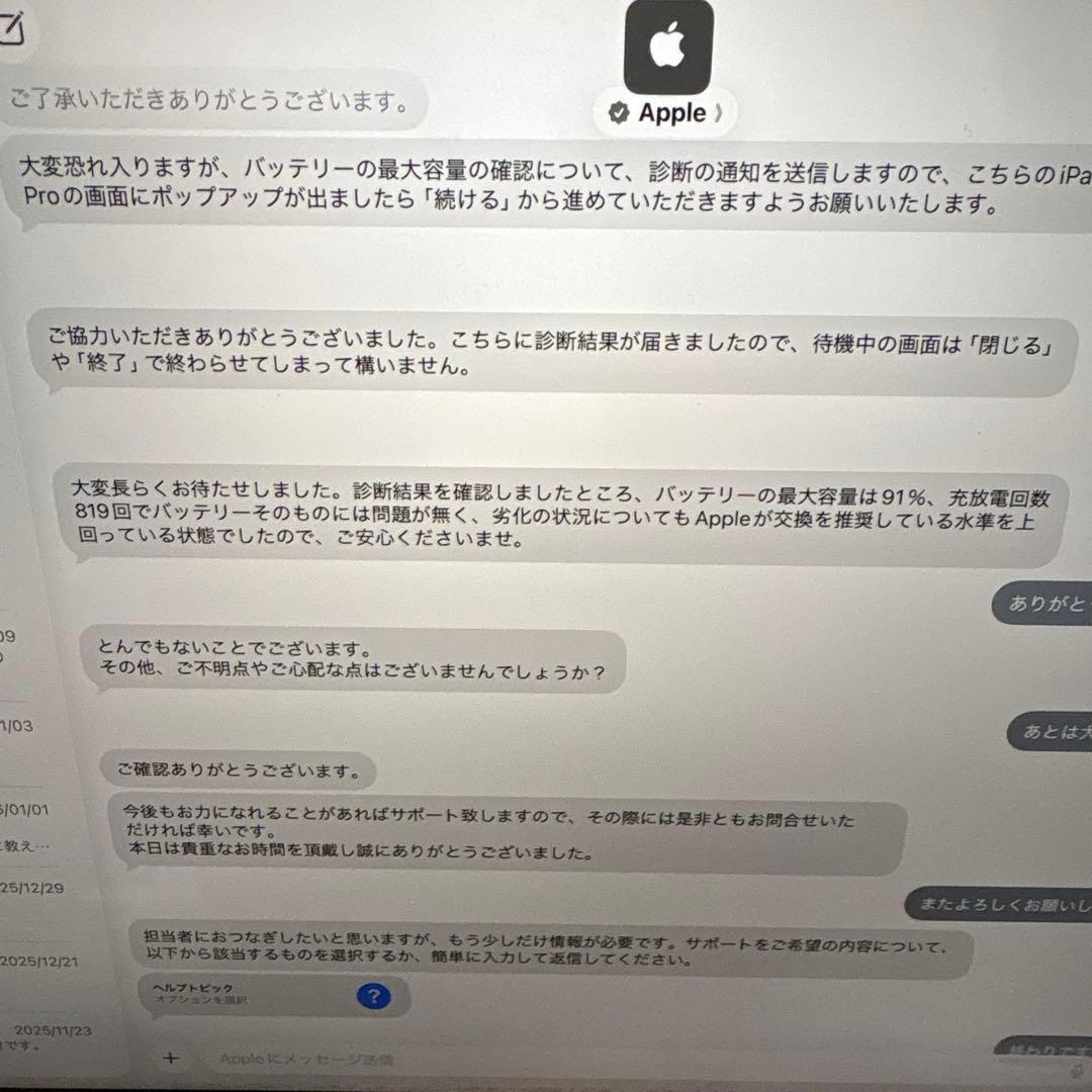 iPad Pro 12.9 第3世代おまけ付き