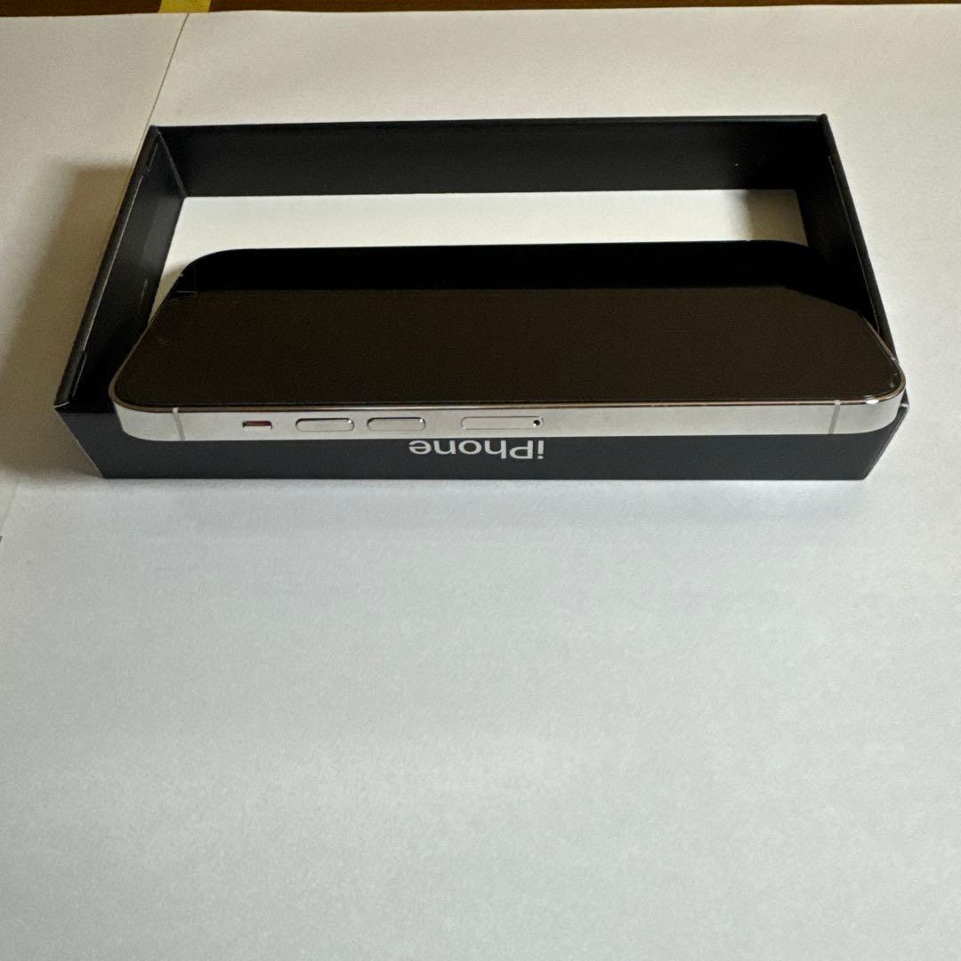 Apple iPhone 13 Pro max シルバー　1t