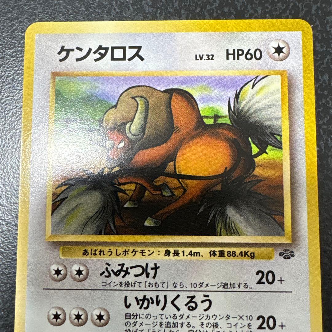 【開封直後美品】ケンタロス ポケモンカード ポケモンジャングル 旧裏面