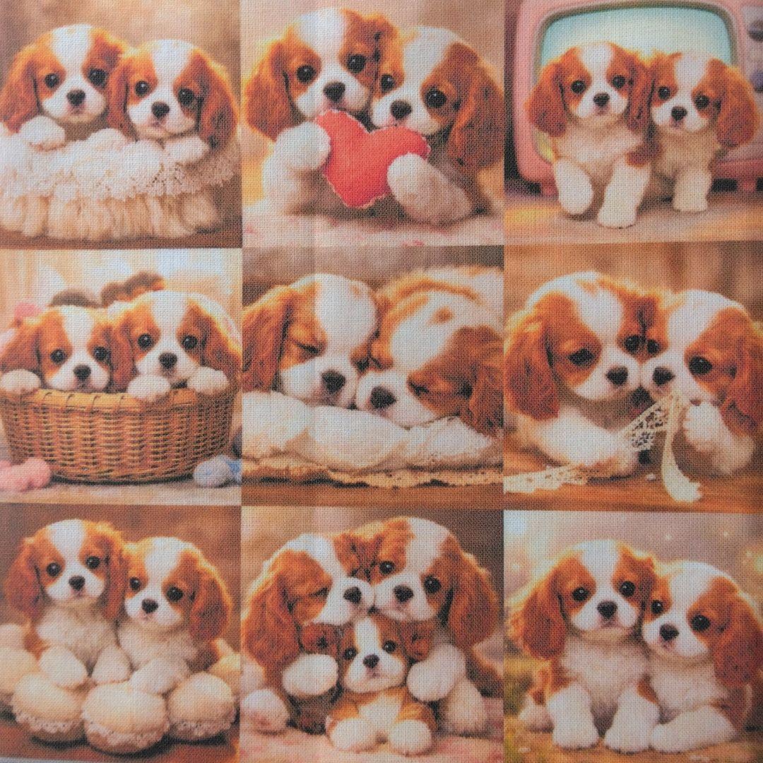 ☆受付☆犬ちゃん色々