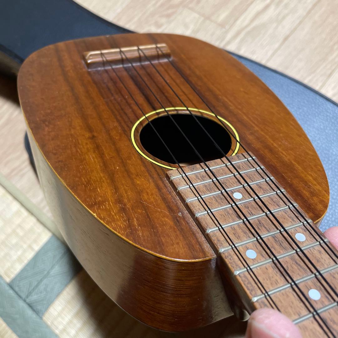 Pupukea UF-P20 パイナップルソプラノ